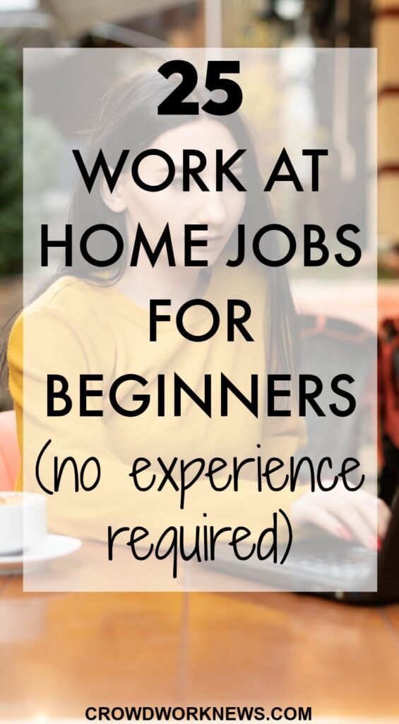 Online Work From Home Jobs No Experience