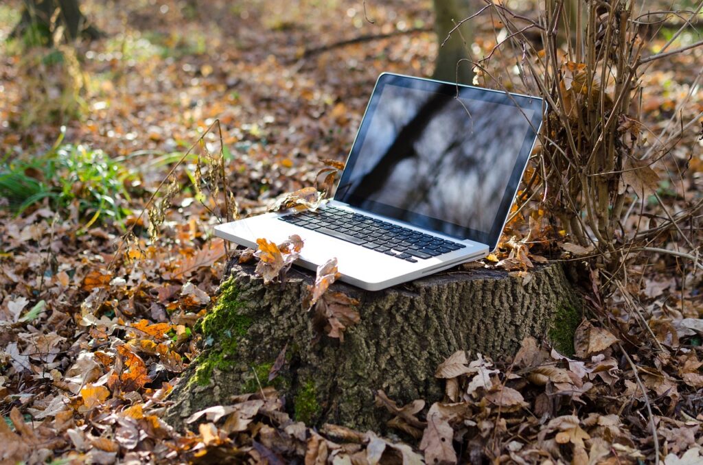 10 Legitimate Ways to Work Online and Get Paid