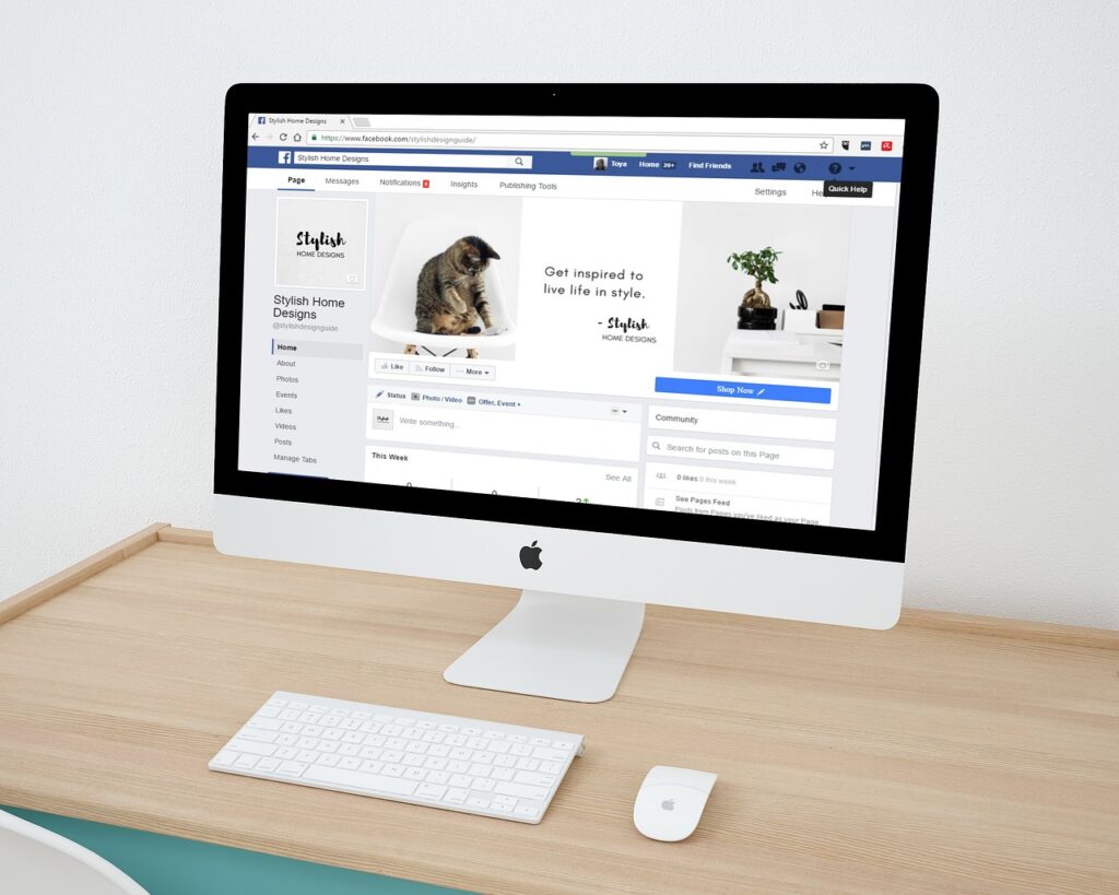 Increase Your Income by Leveraging Social Media Marketing