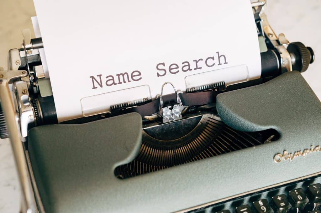 Mastering Domain Investing