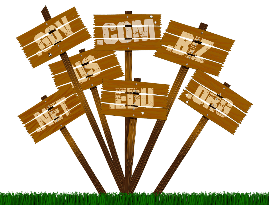Mastering Domain Investing