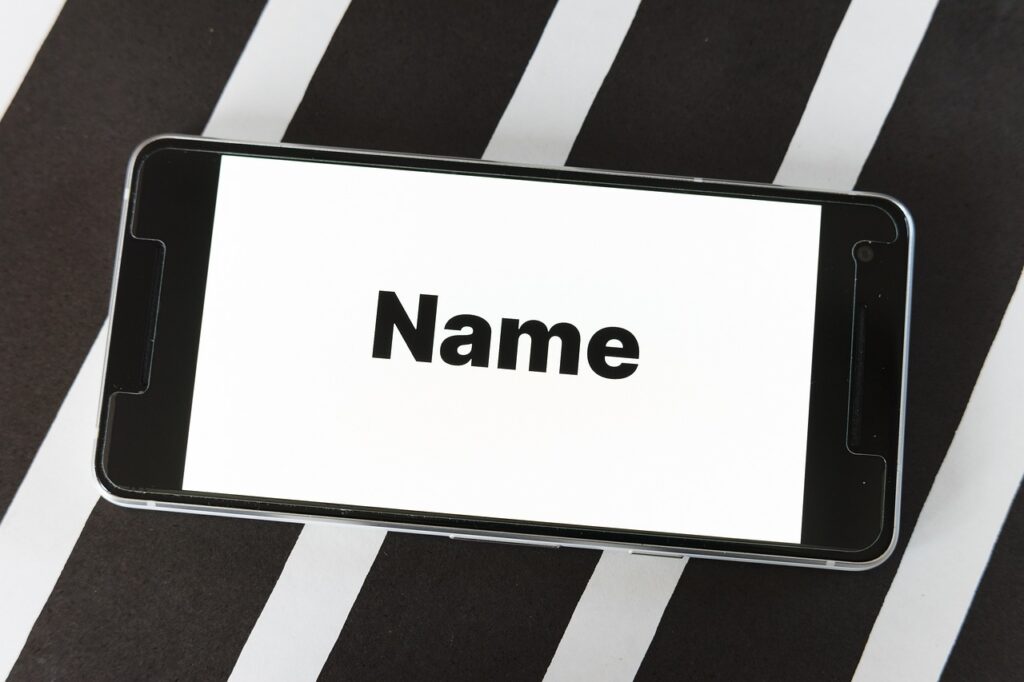 Mastering Domain Investing