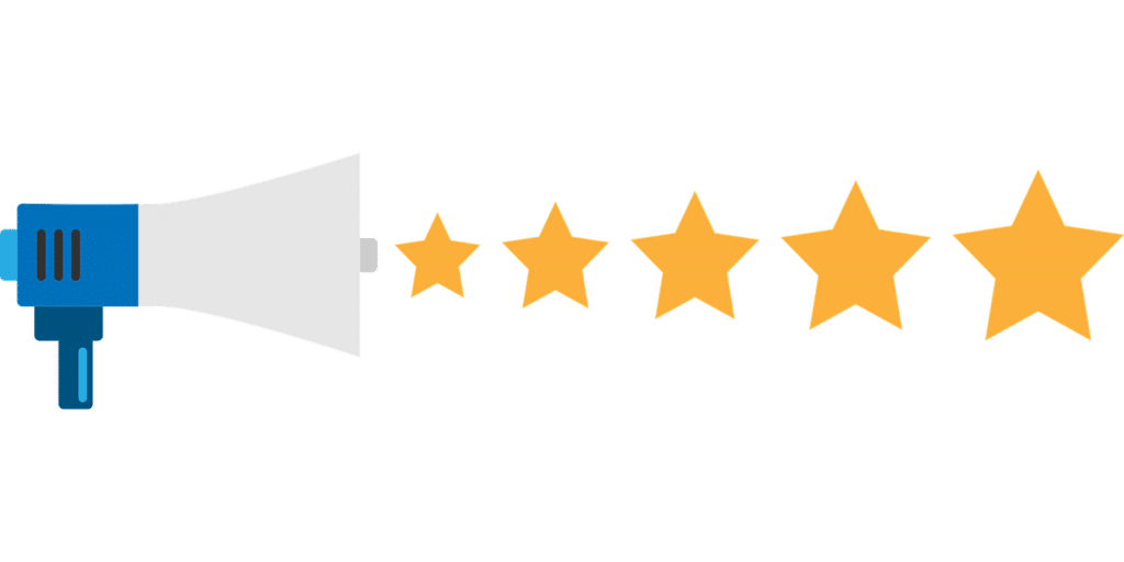 Success Secrets: Making Money Online through Online Surveys and Market Research