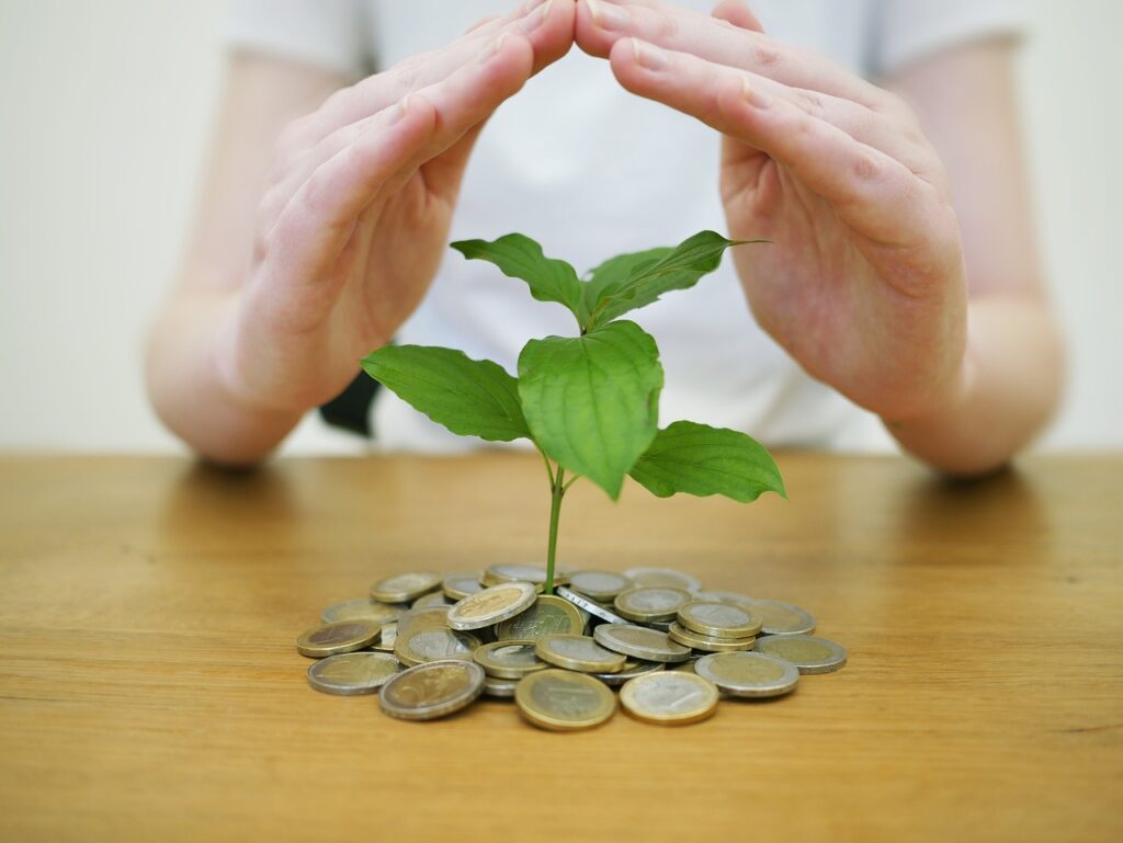 How To Make Money Online Fast And Free No Scams