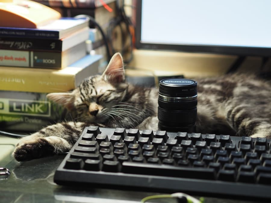 Photo Typing job