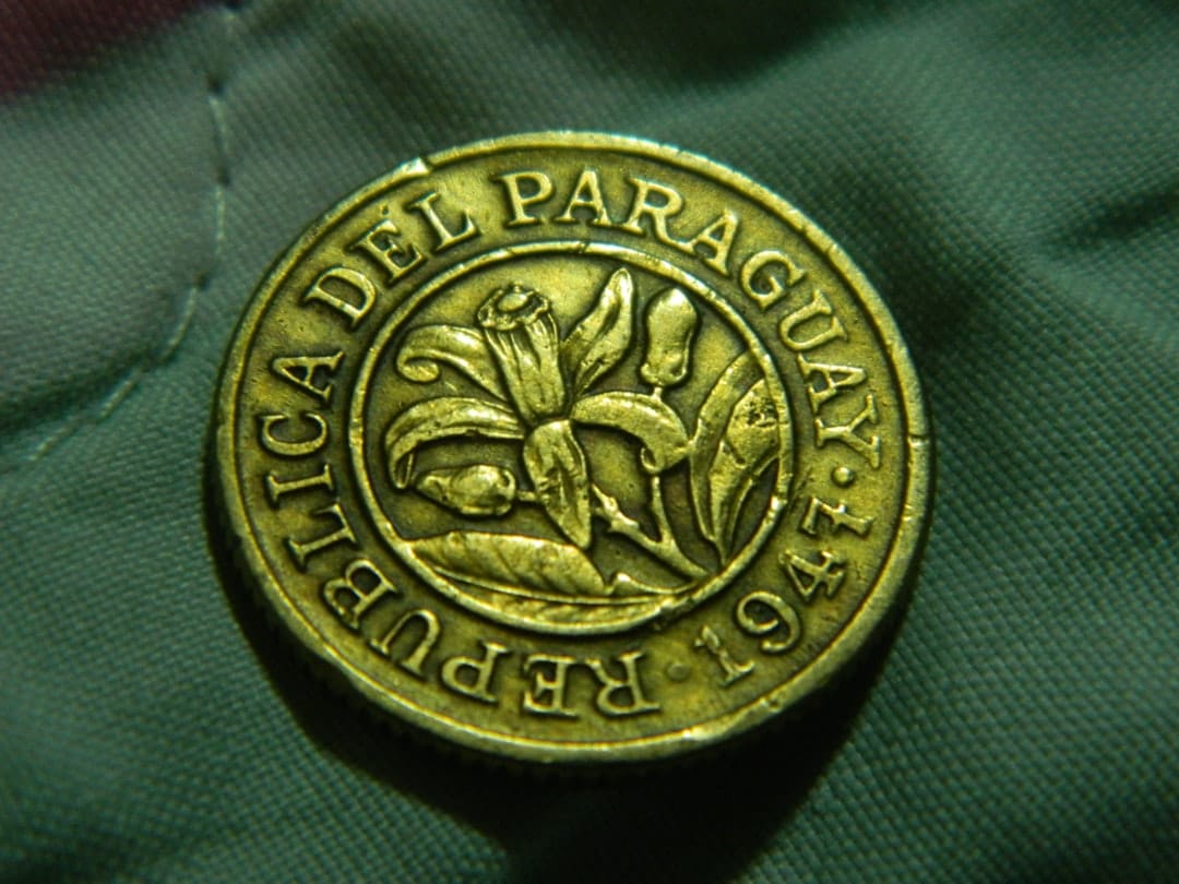 Photo PayPal logo