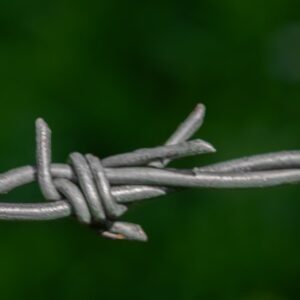Photo Affiliate links