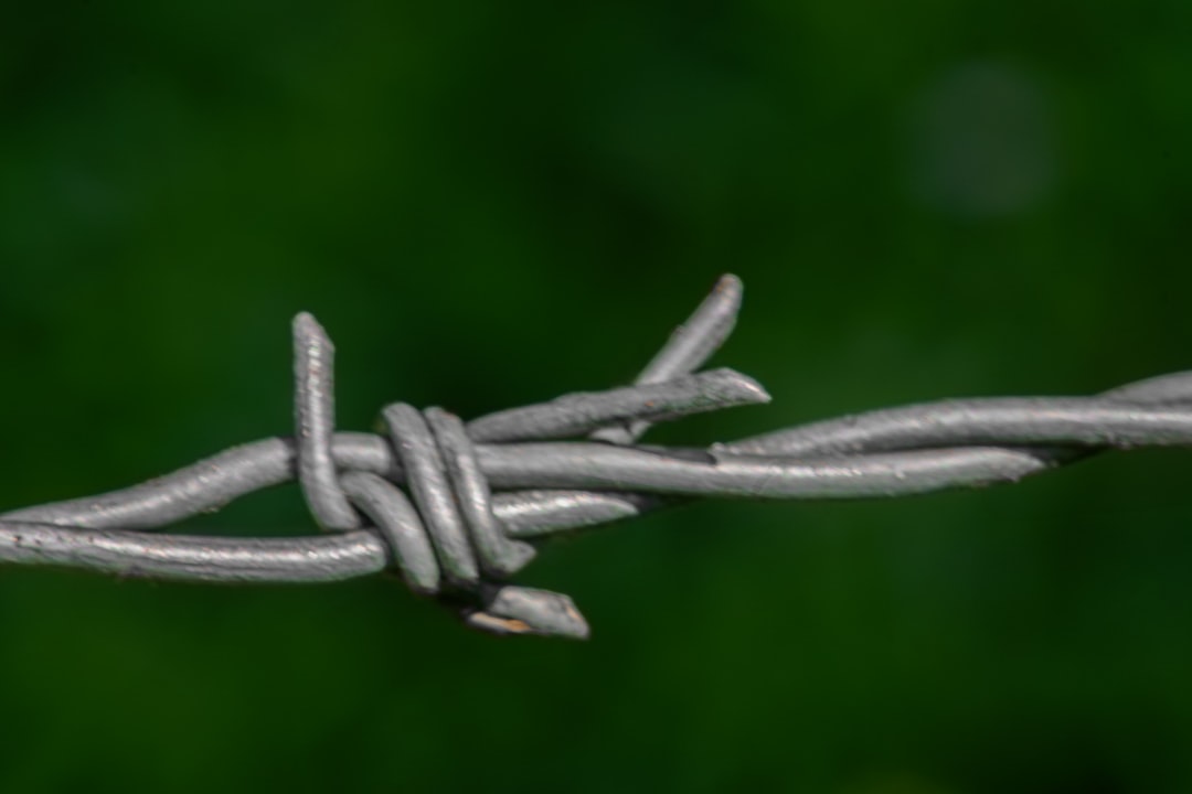 Photo Affiliate links